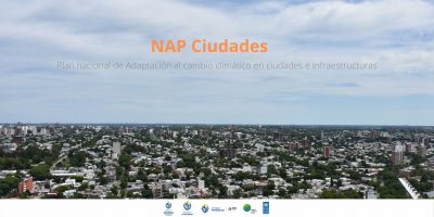 ReNEA presente en la elaboración del Plan Nacional al Cambio Climático (NAP Ciudades)